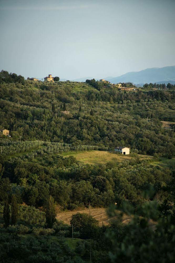 Agriturismo Le Colombe Assise Extérieur photo